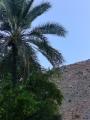 الصورة الرمزية نـــــــقــــــــاء